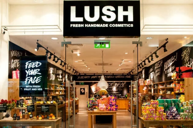 Доработка Mobile SMARTS: Склад 15 для LUSH Доработка Mobile SMARTS: Склад 15 для LUSH