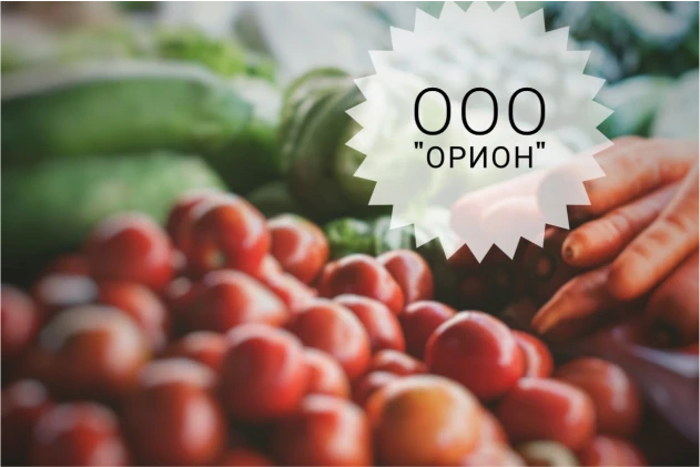 Комплексный подход к автоматизации магазинов в небольших населенных пунктах